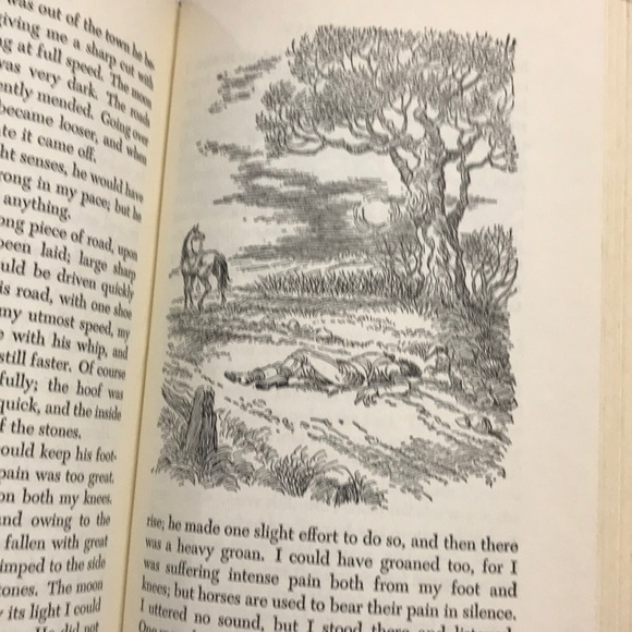 Black Beauty 1945 Hardback - Picture 8 of 12